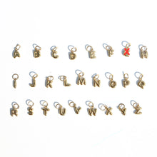 Load image into Gallery viewer, Charms · Reversible Beaded Charm Necklace
