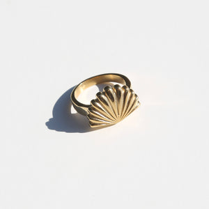 Shell Ring